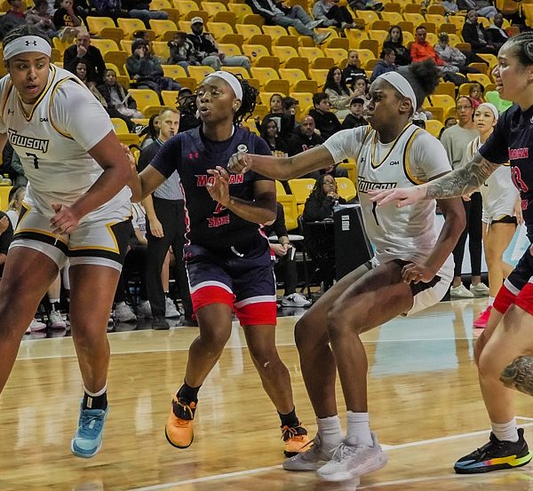 Tigers Claw Bears In Holiday Showdown