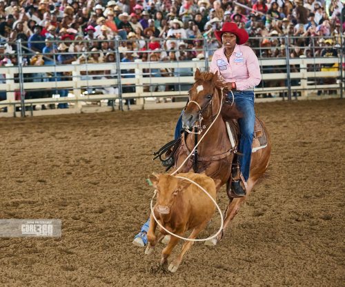 Beyonce’, Rodeos, and Country Culture