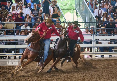 Beyonce’, Rodeos, Beyonce’, Rodeos, and Country Culture