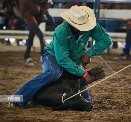 Beyonce’, Rodeos, and Country Culture