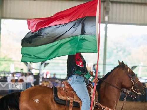 Beyonce’, Rodeos, and Country Culture