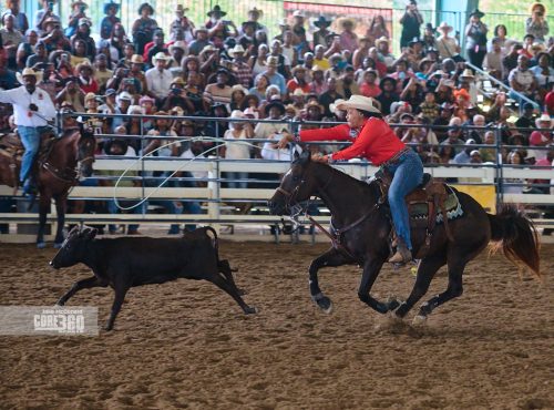 Beyonce’, Rodeos, and Country Culture