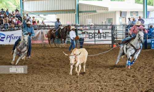 Beyonce’, Rodeos, and Country Culture