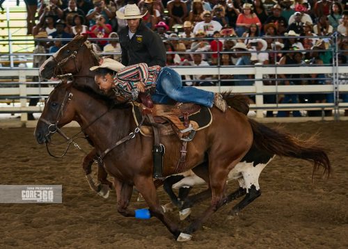 Beyonce’, Rodeos, and Country Culture
