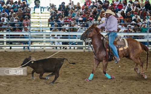 Beyonce’, Rodeos, and Country Culture