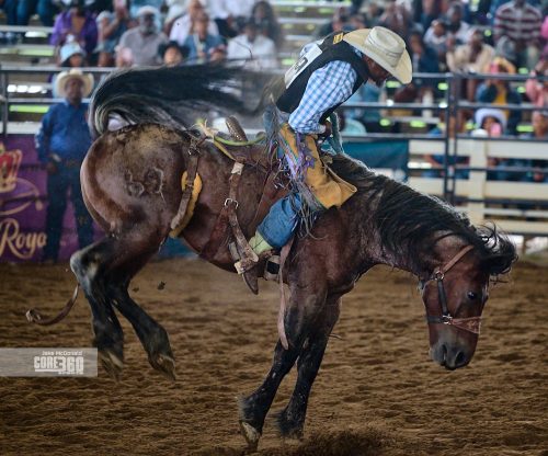 Beyonce’, Rodeos, and Country Culture