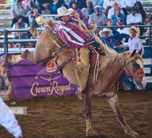 Beyonce’, Rodeos, and Country Culture