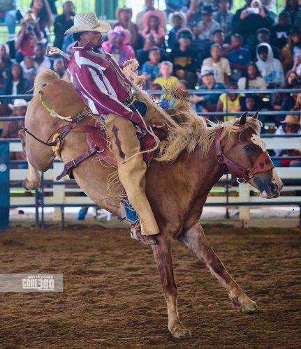 Beyonce’, Rodeos, and Country Culture