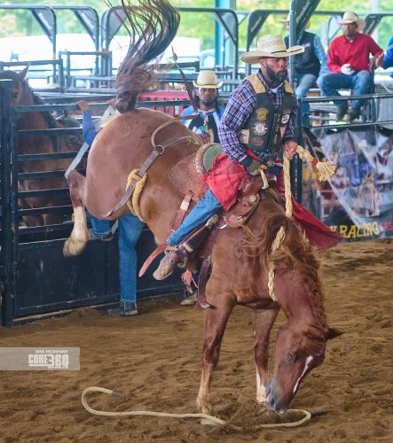 Beyonce’, Rodeos, and Country Culture
