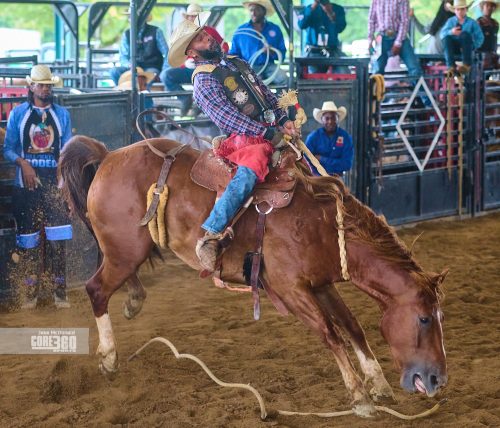 Beyonce’, Rodeos, and Country Culture