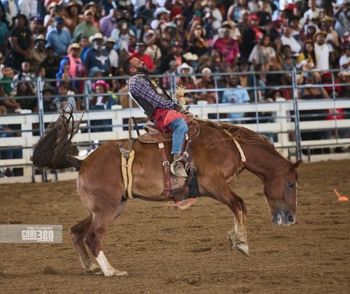 Cowboy Lamar Hankins' winning ride in the Ranch Bronco Riding competition.
