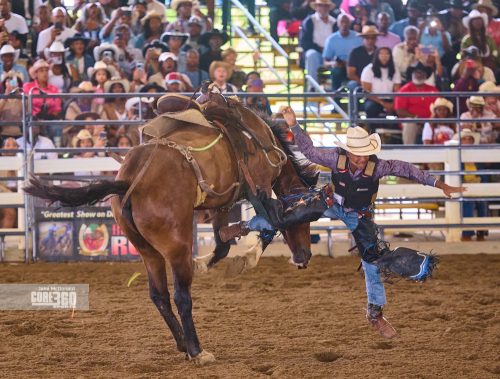 Beyonce’, Rodeos, and Country Culture