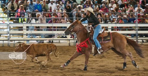 Beyonce’, Rodeos, and Country Culture