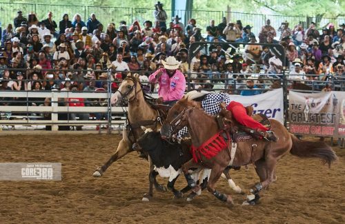 The ladies undecorating competition.