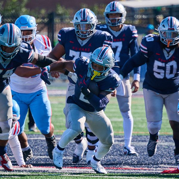 Bison Herd Tramples Hornets