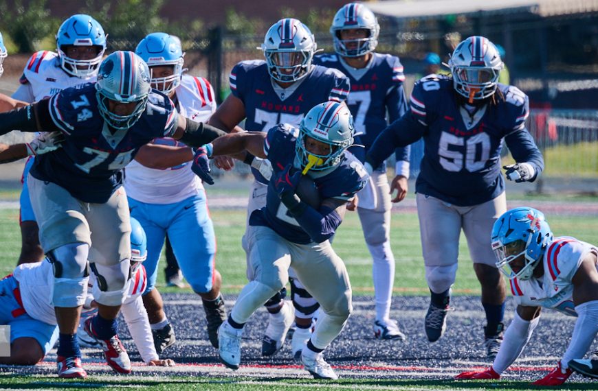 Bison Herd Tramples Hornets