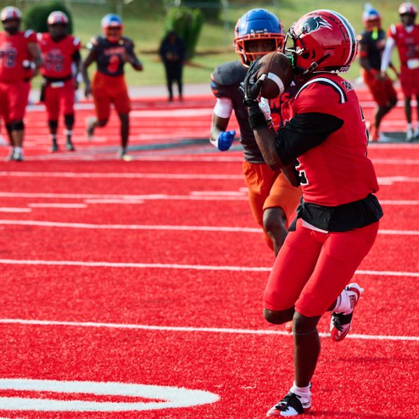 McDonald, Panthers Dump Lions in Weather-shortened Contest