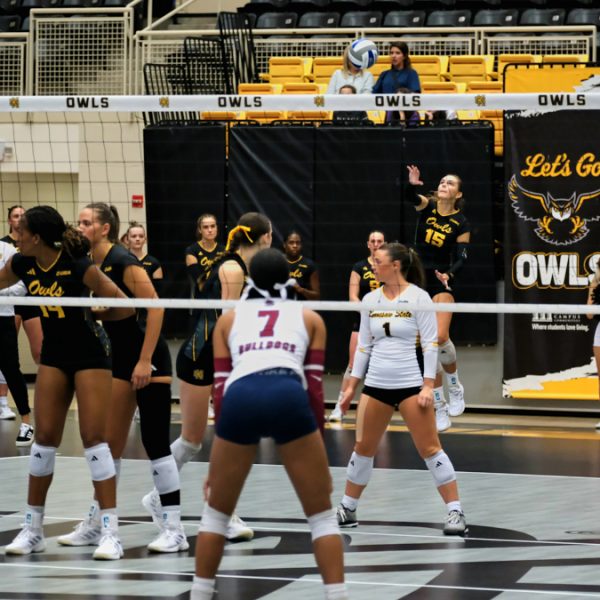 Kennesaw State Sweeps South Carolina State Twice