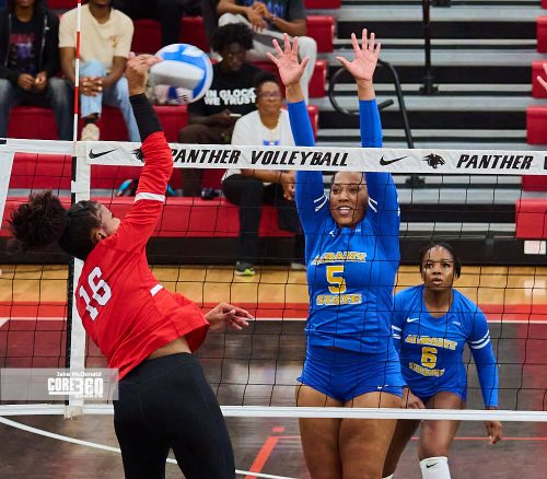 Albany State wasted no time sweeping the Clark Atlanta Panthers 3-0 (25-13, 23-12, 25-20) in L.S. Epps Gymnasium. (photo by Jason McDonald, JM Photography for CORE360 Sports)