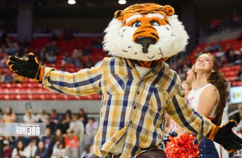 (photo Jason McDonald, CORE360 Sports)